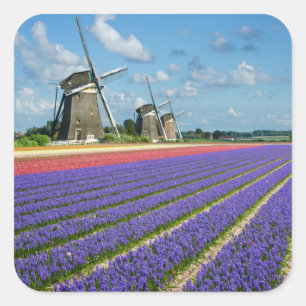 Blumen- und Windmühlen-Fotoaufkleber Quadratischer Aufkleber