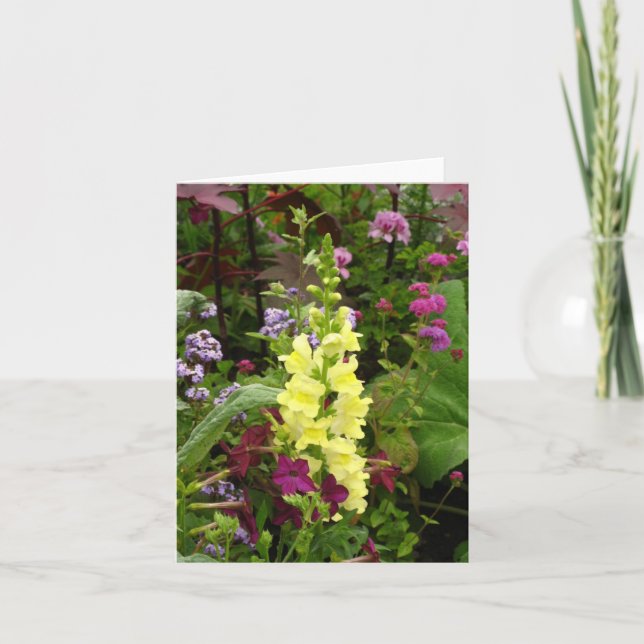 Blumen von Frankreich Karte (Vorderseite)