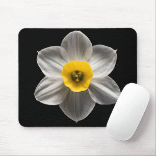 Blumen Weiße affodische Blume Mousepad