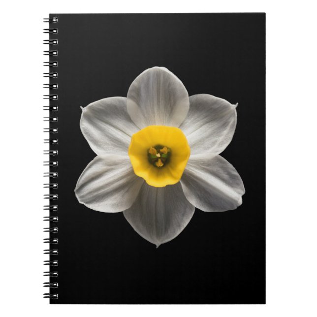 Blumen | Weiße affodische Blume Notizblock (Vorderseite)