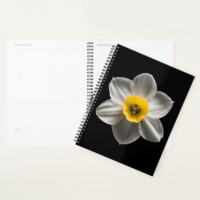 Blumen | Weiße affodische Blume Planer (Anzeige)