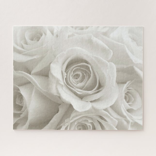 Blumen | Weiße Rosen (Horizontal)