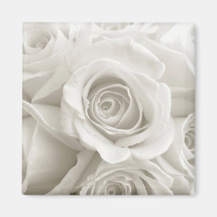 Blumen Weiße Rosen Magnet