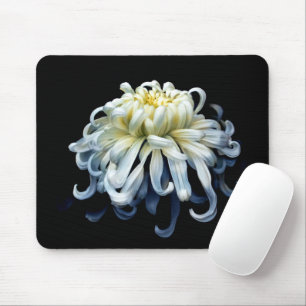Blumen   Weißer Chrysanthemum Mousepad
