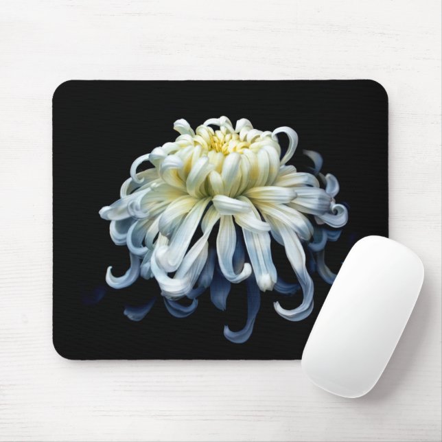 Blumen | Weißer Chrysanthemum Mousepad (Mit Mouse)