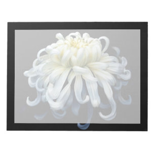 Blumen   Weißer Chrysanthemum Notizblock