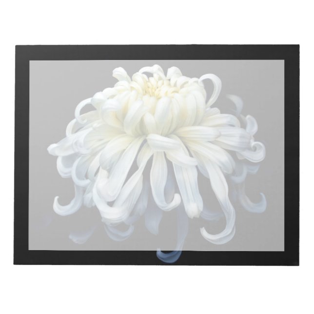 Blumen | Weißer Chrysanthemum Notizblock (Vorderseite)