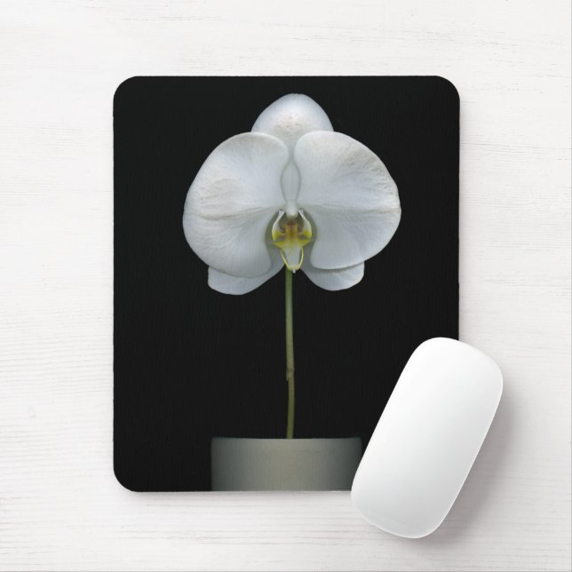 Blumen | Weißorchid-Blume Mousepad (Mit Mouse)