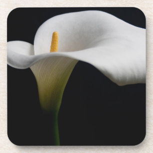 Blumen White Calla Lily Getränkeuntersetzer