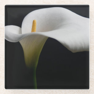 Blumen White Calla Lily Glasuntersetzer