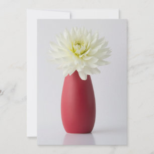 Blumen   White Dahlia in Red Vase Dankeskarte