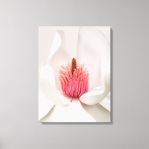 Blumen White Magnolia Leinwanddruck