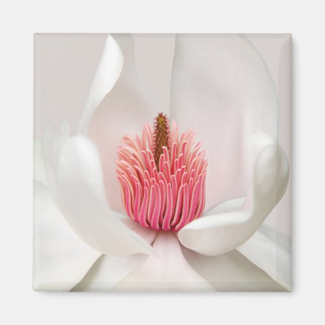 Blumen | White Magnolia Magnet (Vorne)