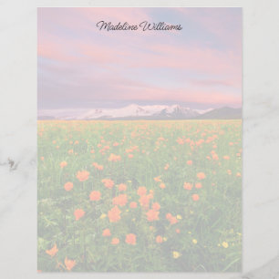 Blumen   Wildblume Felsschneebedeckte Berge