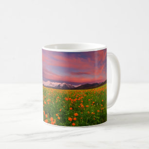 Blumen   Wildblume Felsschneebedeckte Berge Kaffeetasse