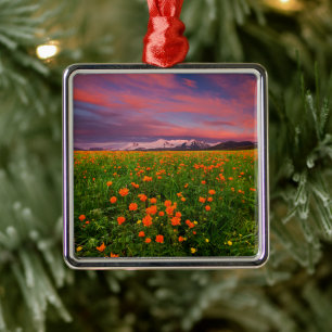 Blumen Wildblume Felsschneebedeckte Berge Ornament Aus Metall