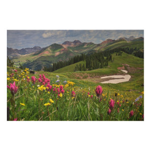 Blumen   Wildblumen Durango, Colorado Holzdruck