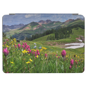 Blumen   Wildblumen Durango, Colorado iPad Air Hülle