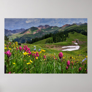 Blumen   Wildblumen Durango, Colorado Poster