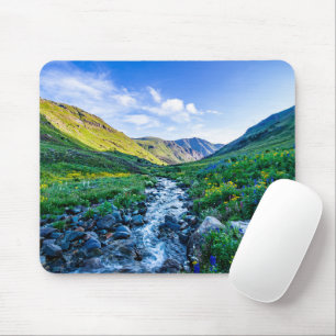 Blumen Wildblumen in Colorado Mousepad