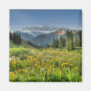 Blumen   Wildblumen Silverton Colorado Magnet
