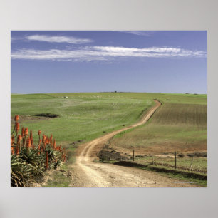 Blumenaloge in der Nähe von Caledon, Western Cape Poster