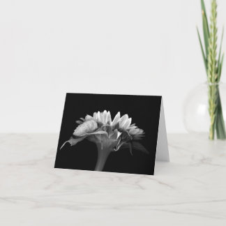 Blumenanmerkungs-Karten-Silber-Sonnenblume Karte