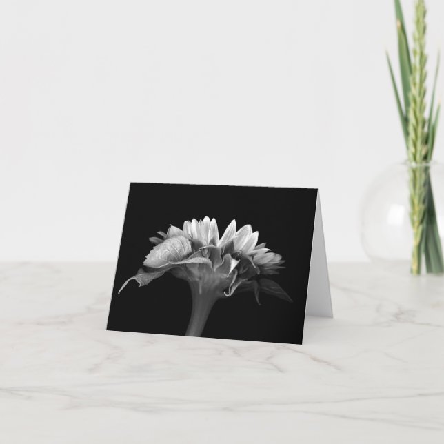 Blumenanmerkungs-Karten-Silber-Sonnenblume Karte (Vorderseite)