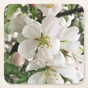 Blumenapfel Rechteckiger Pappuntersetzer