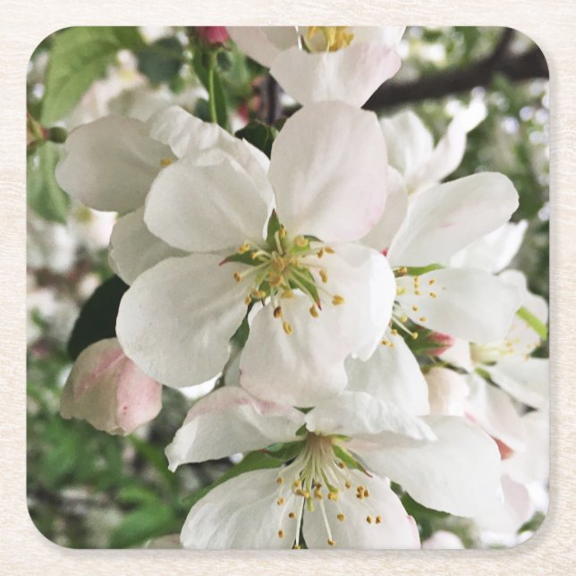 Blumenapfel Rechteckiger Pappuntersetzer (Vorderseite)