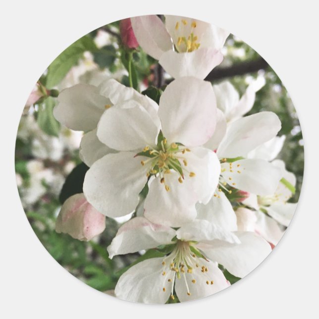 Blumenapfel Runder Aufkleber (Vorderseite)