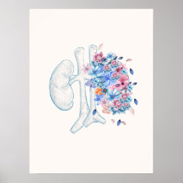 Blumenärztliches Nierenanatomie-Poster Poster