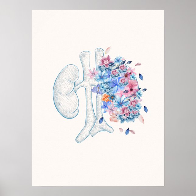 Blumenärztliches Nierenanatomie-Poster Poster (Vorne)