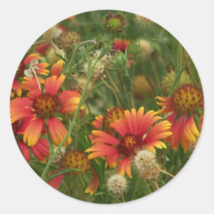 Blumenaufkleber im Sommer Runder Aufkleber