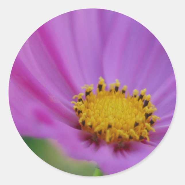 Blumenaufkleber Runder Aufkleber (Vorderseite)