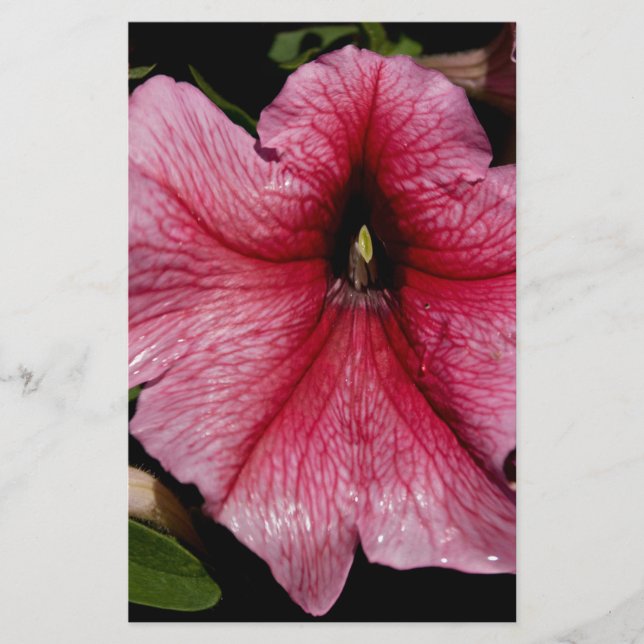 Blumenausbruch Briefpapier (Vorderseite)