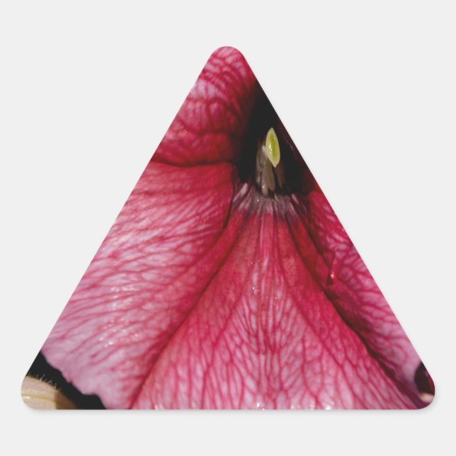 Blumenausbruch Dreieckiger Aufkleber (Vorderseite)