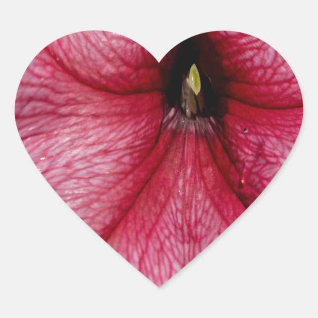 Blumenausbruch Herz-Aufkleber (Vorderseite)