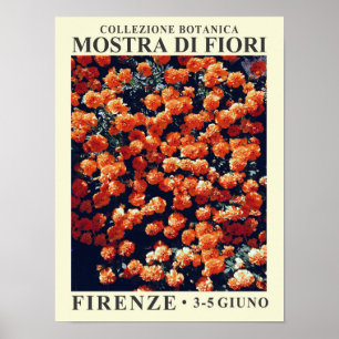 Blumenausstellung Nr. 3 Poster