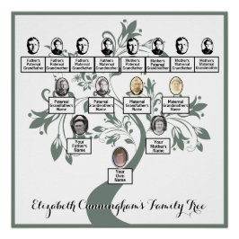Blumenbaum Grüne Silhouette Fotos Poster