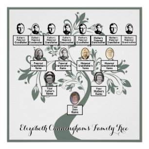 Blumenbaum Grüne Silhouette Fotos Poster
