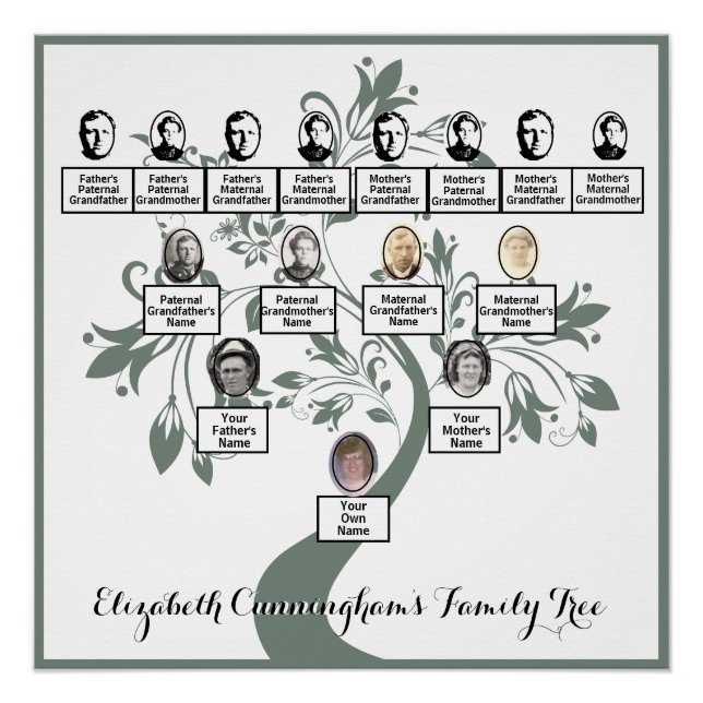 Blumenbaum Grüne Silhouette Fotos Poster (Vorderseite)