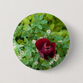 Blumenbeet im Frühjahr Button