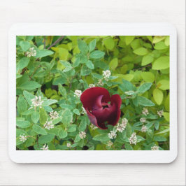 Blumenbeet im Frühjahr Mousepad