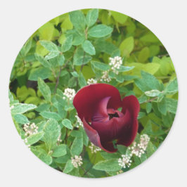 Blumenbeet im Frühjahr Runder Aufkleber