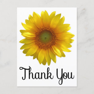 Blumenbeweis: Gelbe Sonnenblume Blume Postkarte