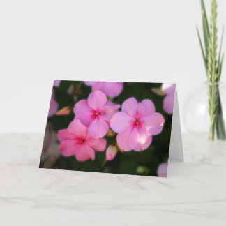 Blumenblätter im Rosa Karte