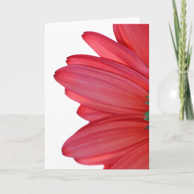 Blumenblätter vom Himmel Karte (Vorderseite)