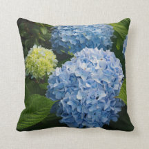 Blumenblauer Hydrangea-Foto
