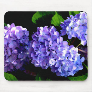 Blumenblumen, Blütenblüten, Hydrangeas Mousepad